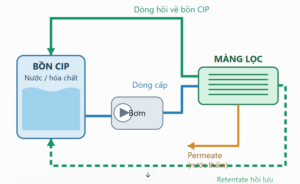 Quy trình và hóa chất cho CIP cho màng lọc của lọc tiếp tuyến